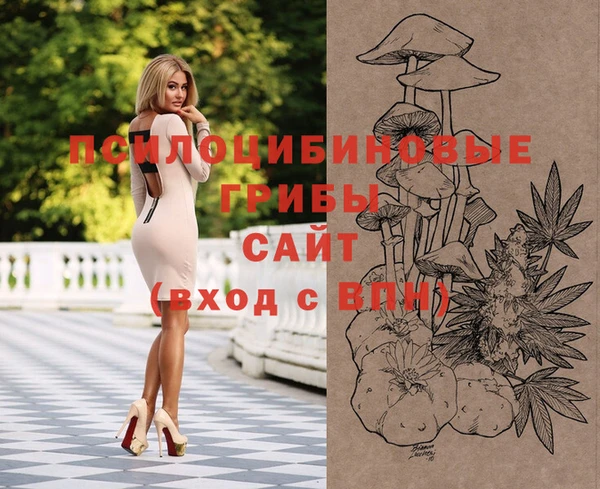 винт Аркадак