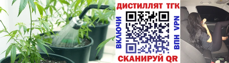 кракен сайт  Таштагол  Дистиллят ТГК THC oil 